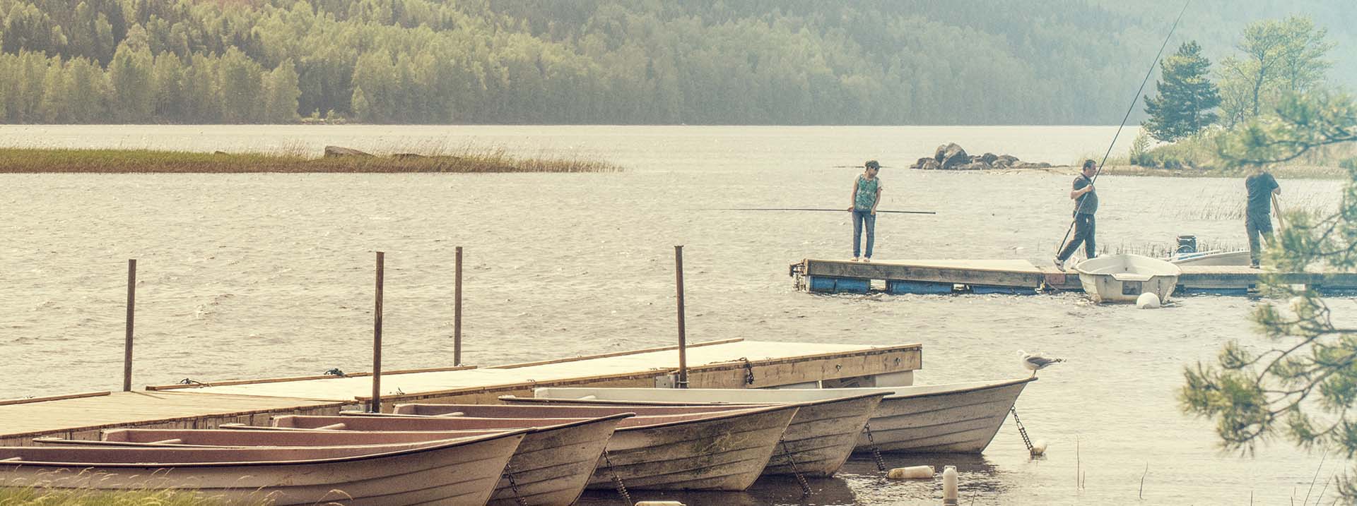 Personer med fiskespön på brygga i Tisaren