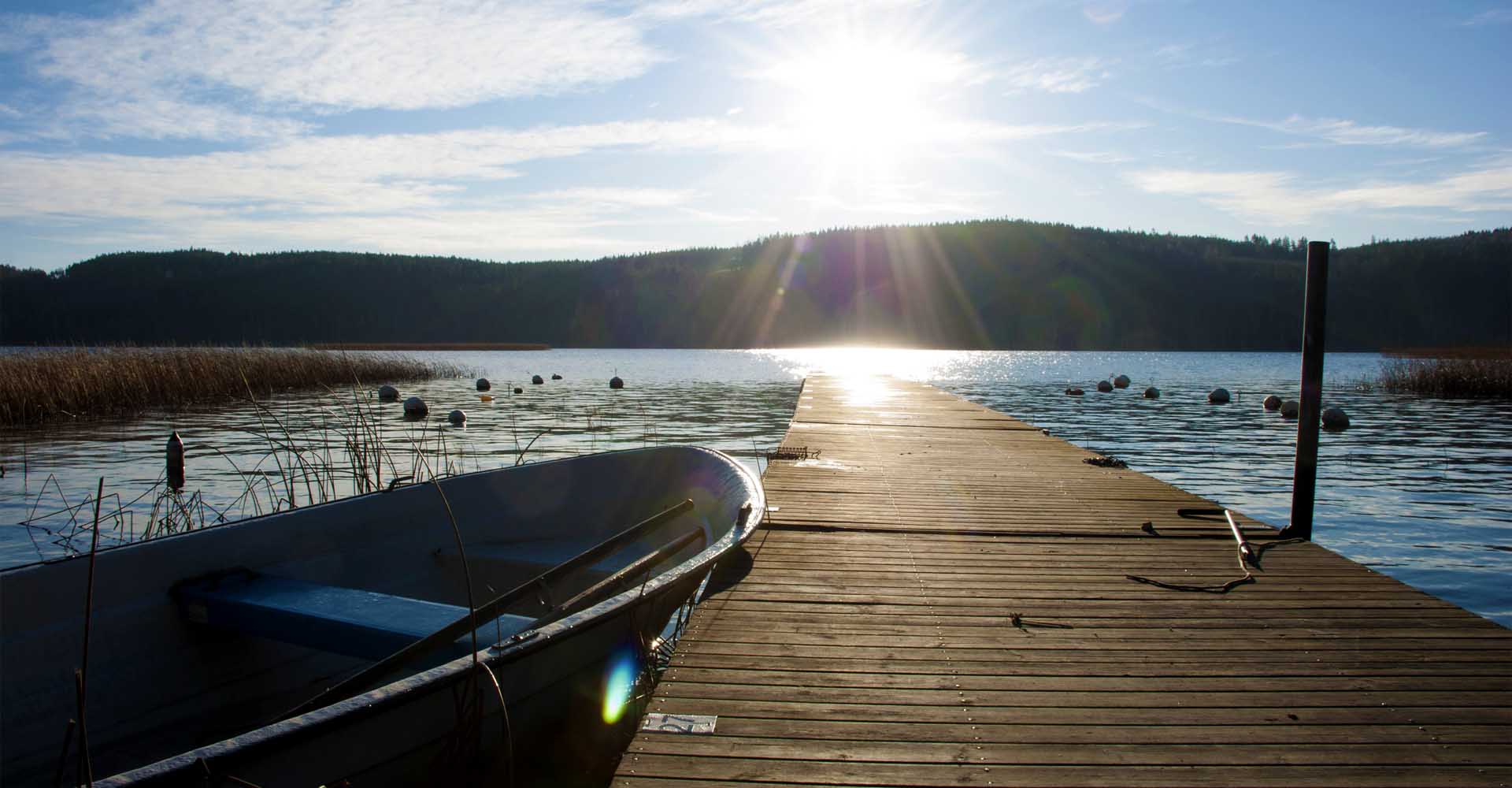 Del av eka vid brygga i Tisaren