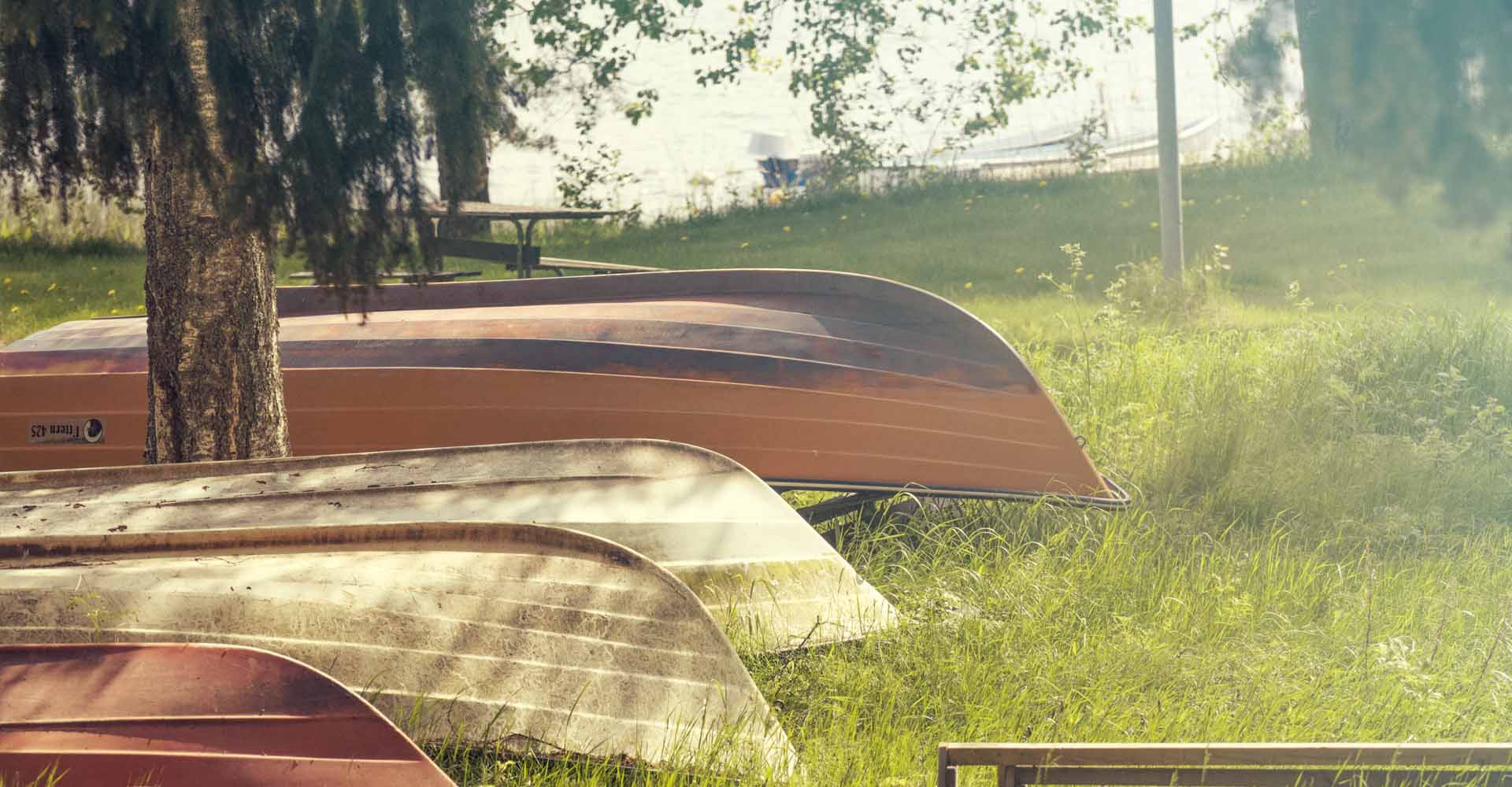 Ekor på land vid Tisaren