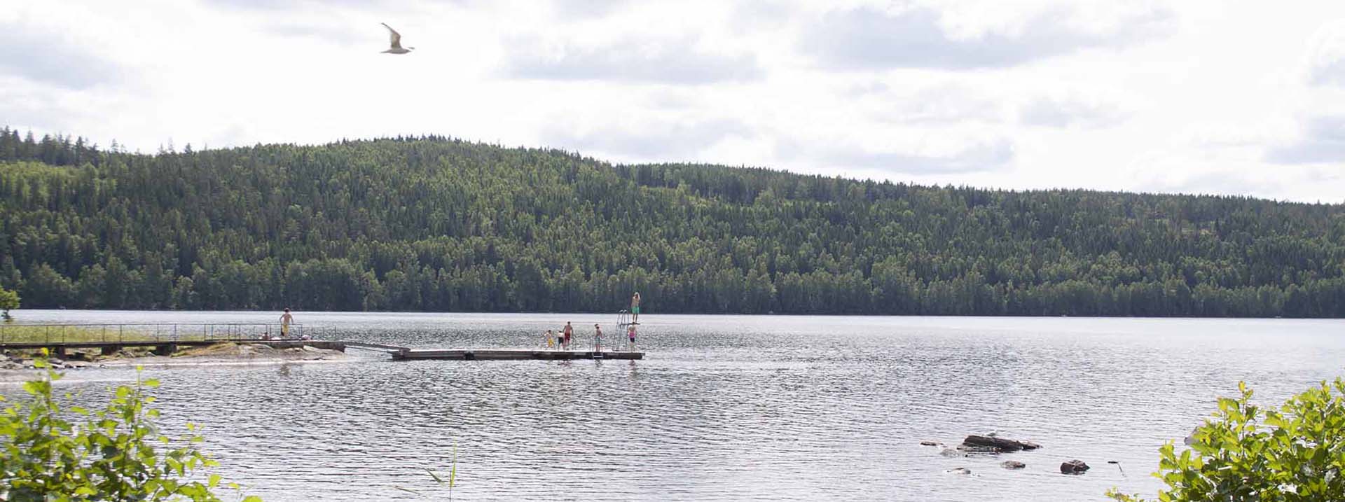 Människor på brygga i Tisaren
