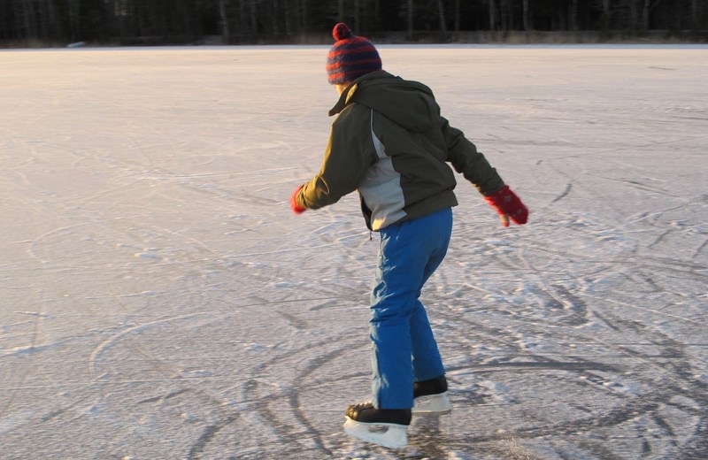 ice-skates-1200901_1920.jpg (1)